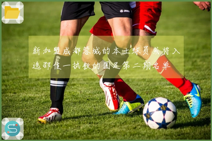 新加盟成都蓉城的本土球员或将入选邵佳一执教的国足第二期名单
