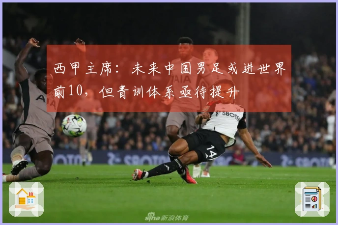 西甲主席：未来中国男足或进世界前10，但青训体系亟待提升